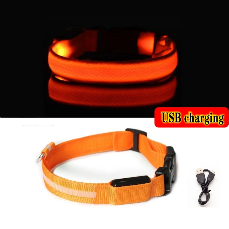 LED Glow Dog Collar, USB Charging