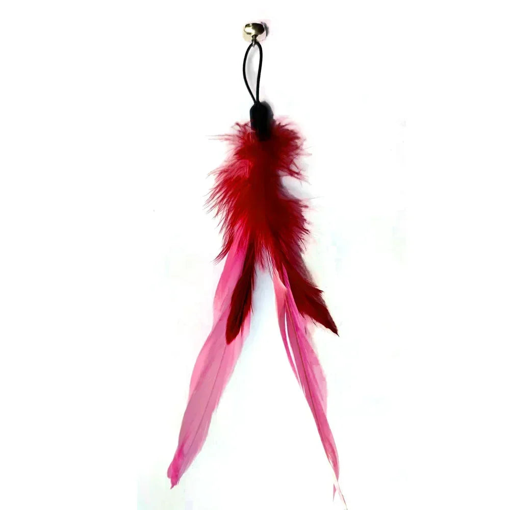 Cat Feather toy with replacements