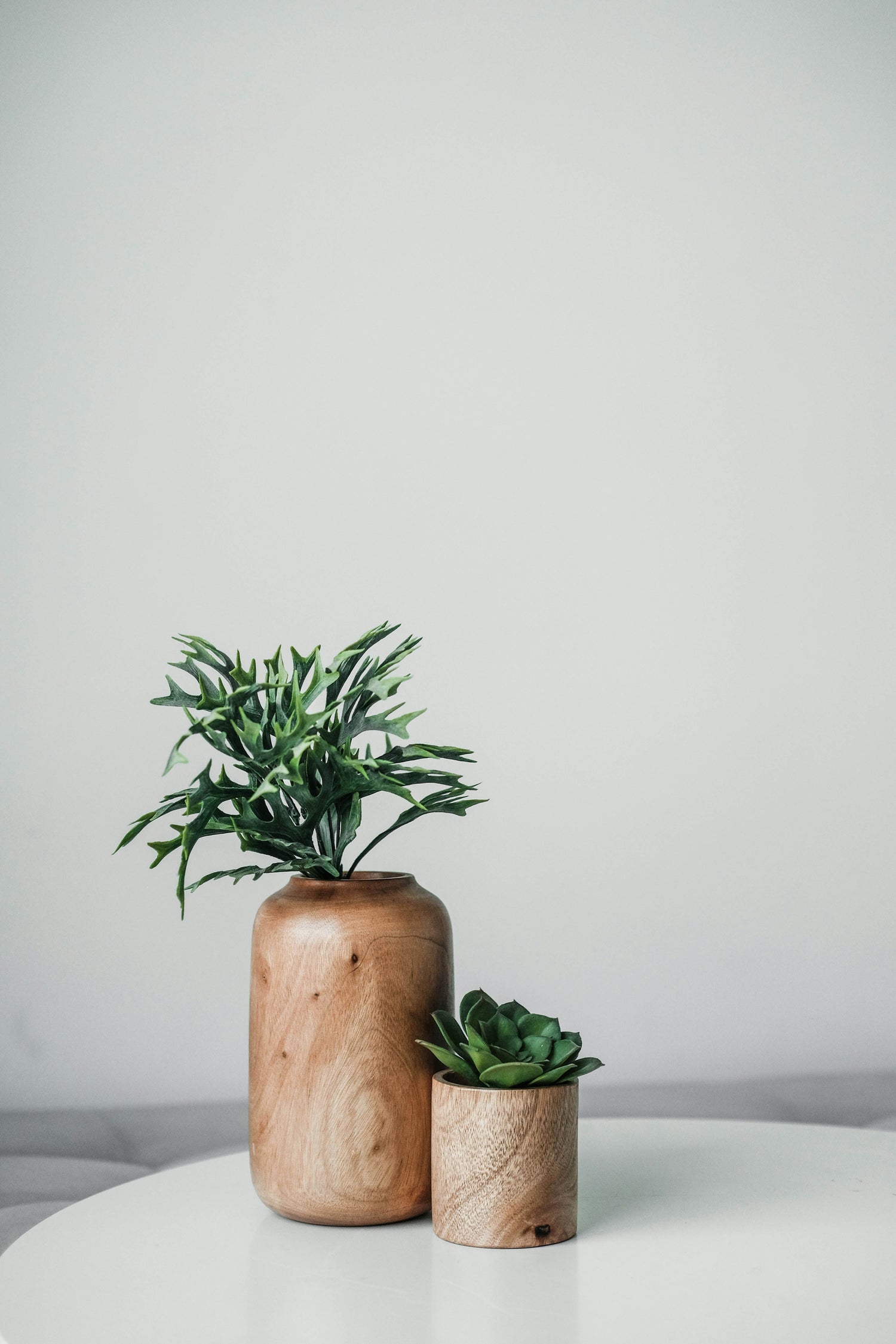 Home Decor & More