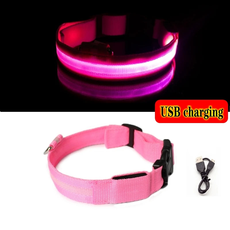 LED Glow Dog Collar, USB Charging