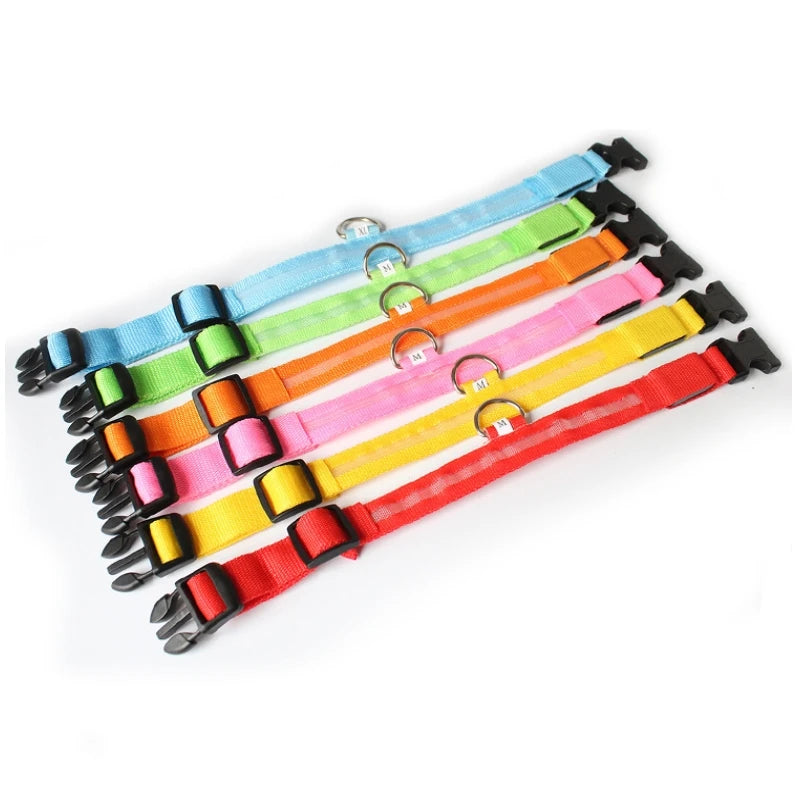 LED Glow Dog Collar, USB Charging