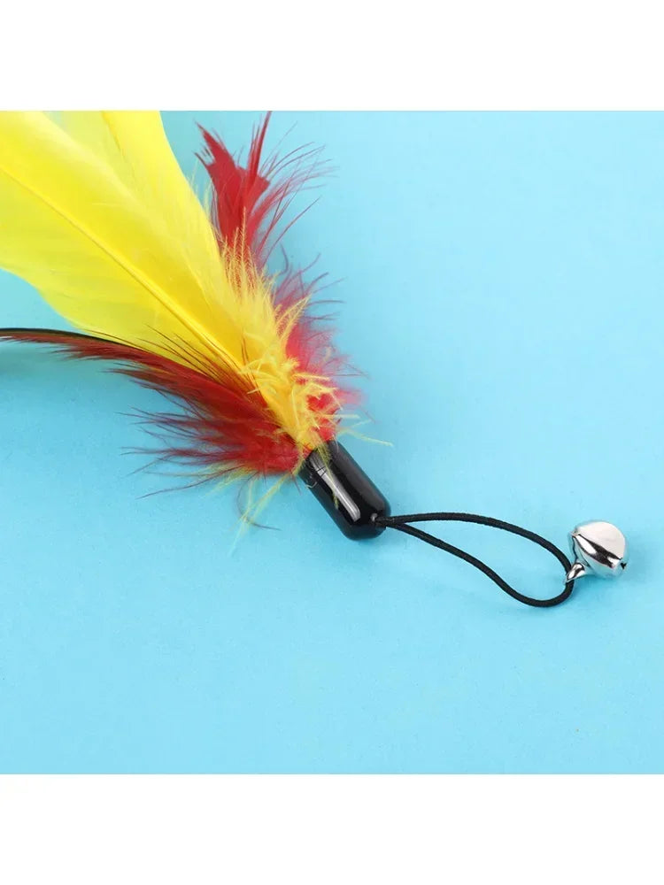 Cat Feather toy with replacements