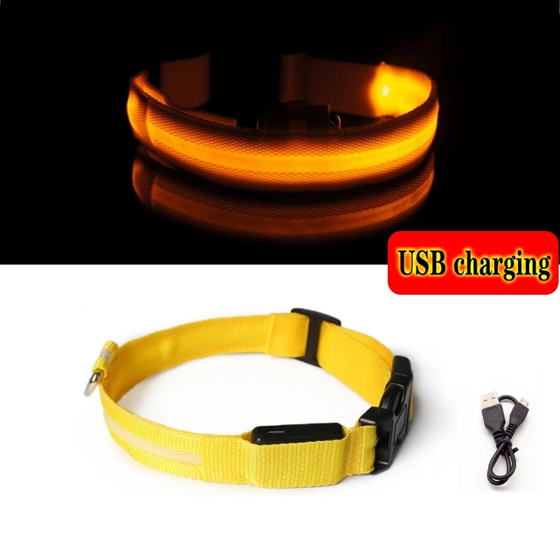 LED Glow Dog Collar, USB Charging