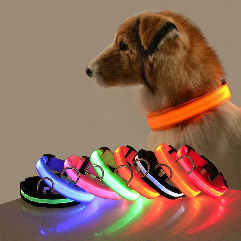 LED Glow Dog Collar, USB Charging