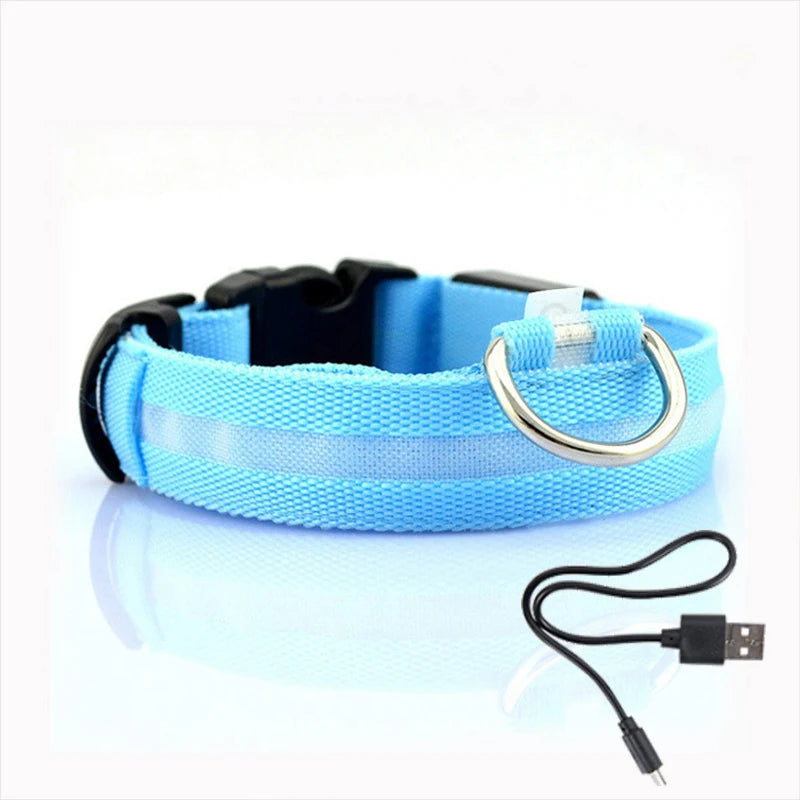 LED Glow Dog Collar, USB Charging