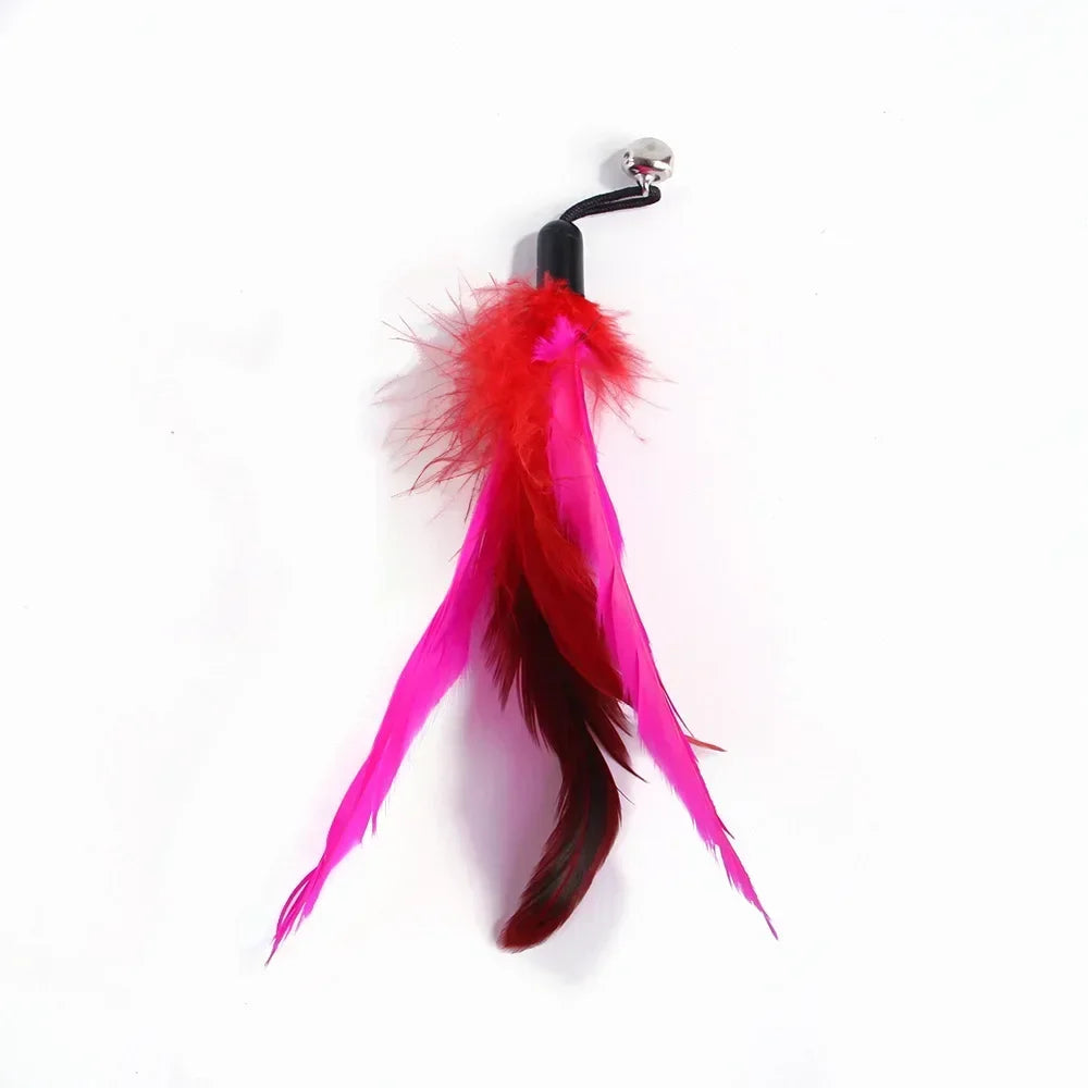 Cat Feather toy with replacements