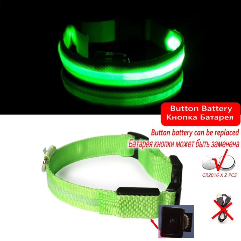LED Glow Dog Collar, USB Charging