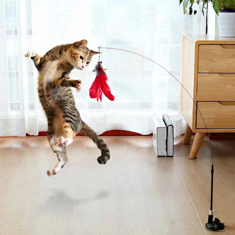 CatStick, Interactive feather toy!