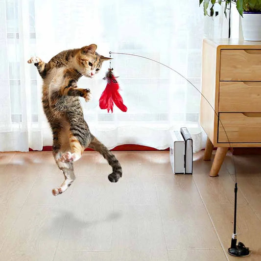 CatStick, Interactive feather toy!