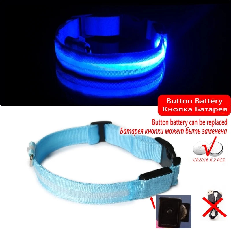 LED Glow Dog Collar, USB Charging