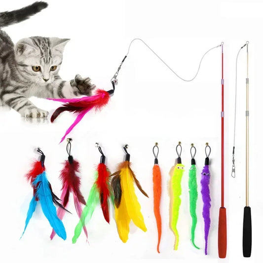 Cat Feather toy with replacements