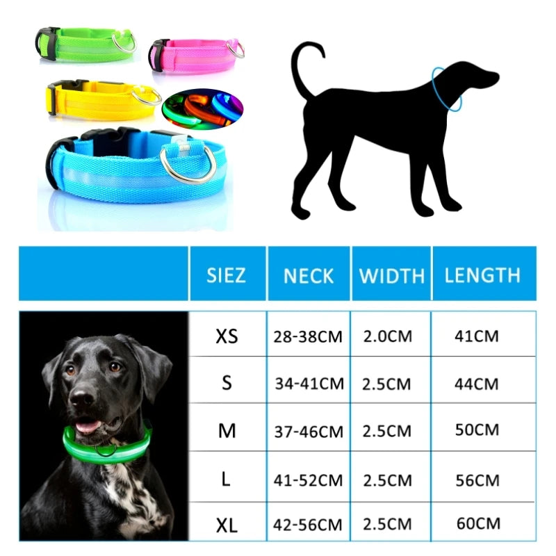 LED Glow Dog Collar, USB Charging