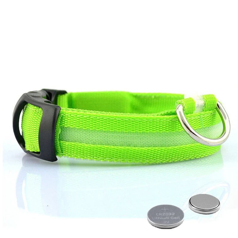 LED Glow Dog Collar, USB Charging