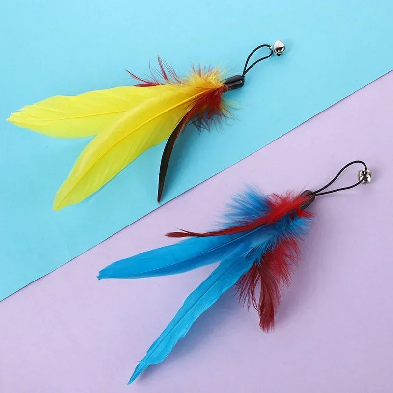 Cat Feather toy with replacements