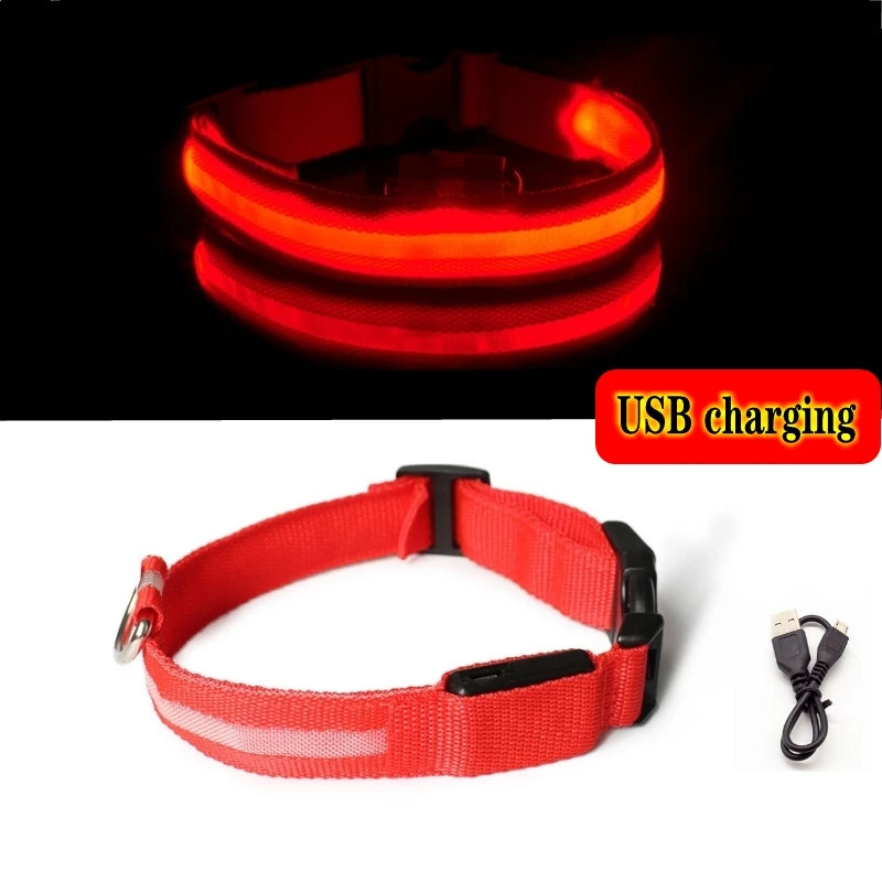 LED Glow Dog Collar, USB Charging