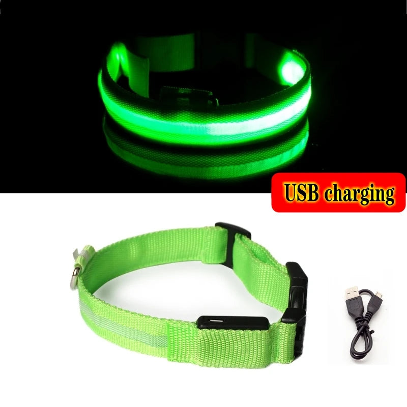 LED Glow Dog Collar, USB Charging