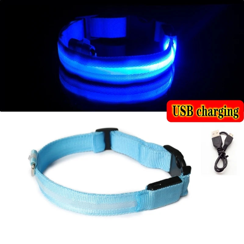 LED Glow Dog Collar, USB Charging