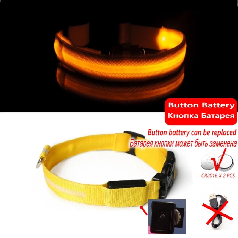 LED Glow Dog Collar, USB Charging