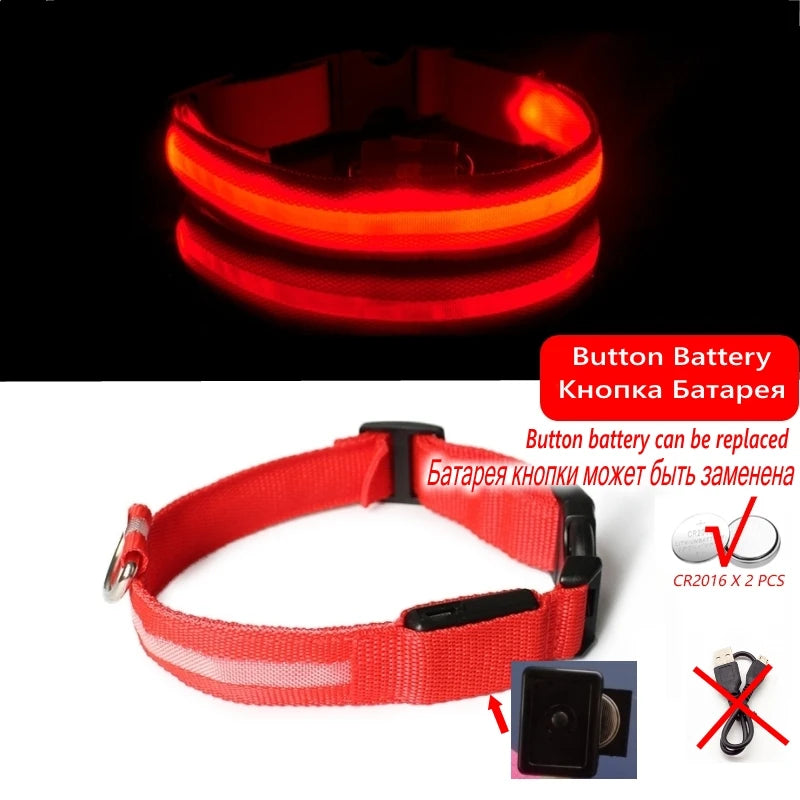 LED Glow Dog Collar, USB Charging